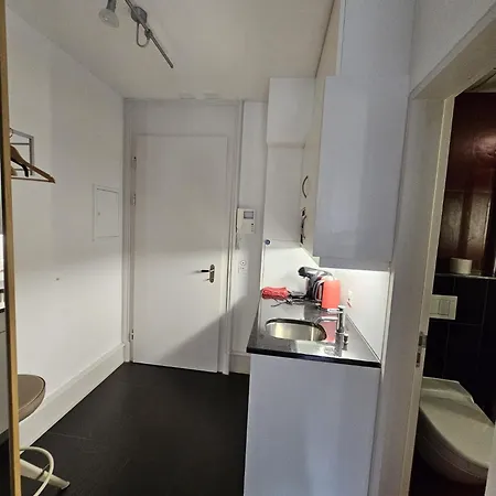 Double High-end & Up To 7 Seats Cars Option Apartment Bern